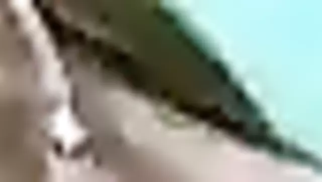 Güzel kadın, Özbek adamın aletini emiyor.